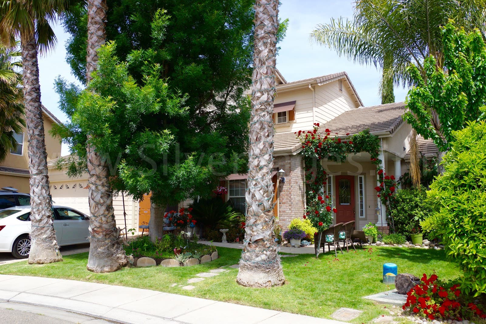 Corina's Elderly Care Home