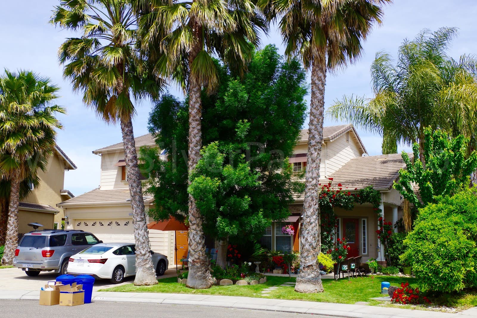 Corina's Elderly Care Home photo 2