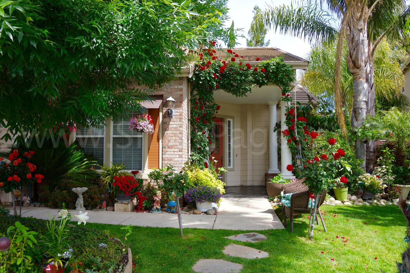 Corina's Elderly Care Home photo 4