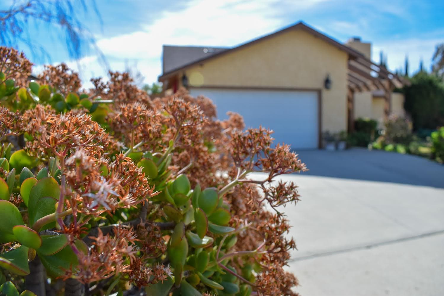 Green Valley Home Care photo 3
