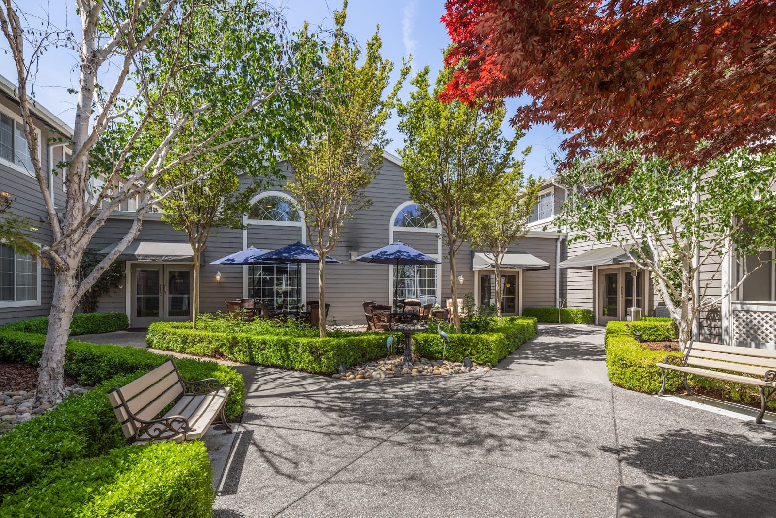 Ivy Park At San Ramon photo 5