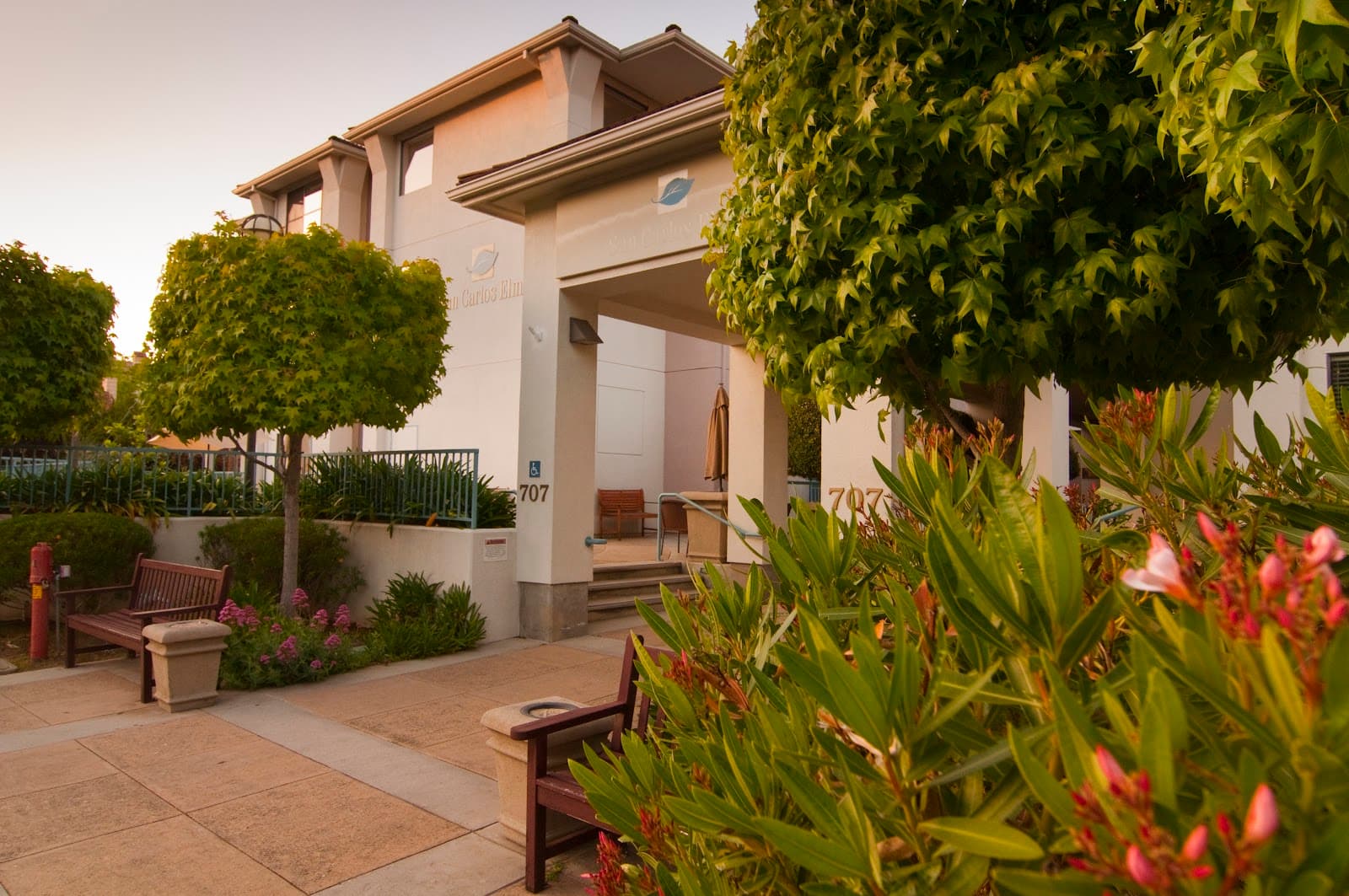 San Carlos Elms photo 1