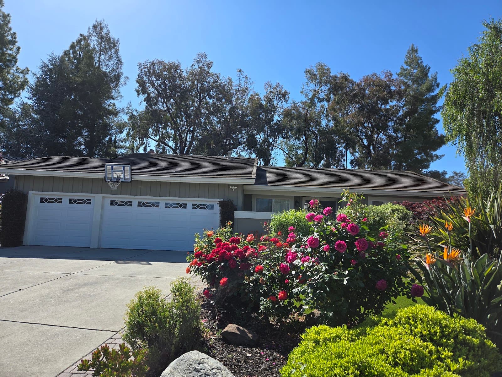 Oak Canyon Living photo 4