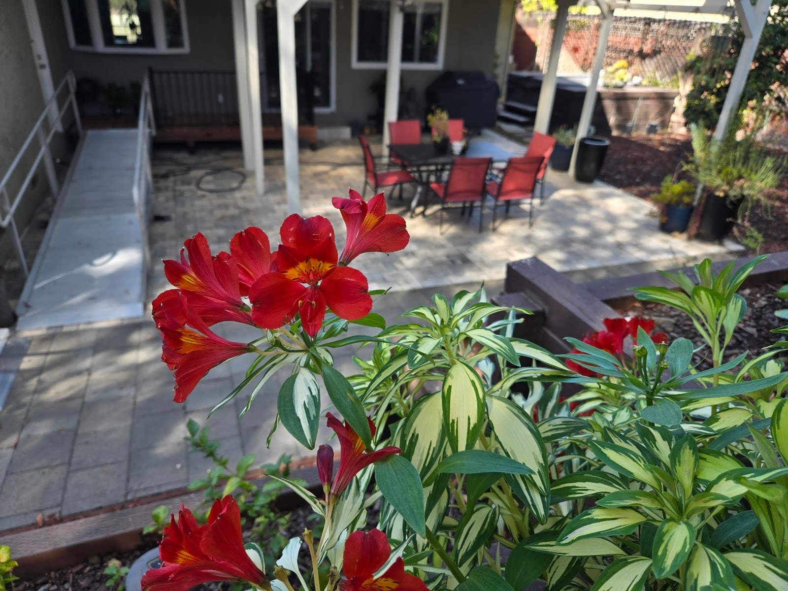 Oak Canyon Living photo 5