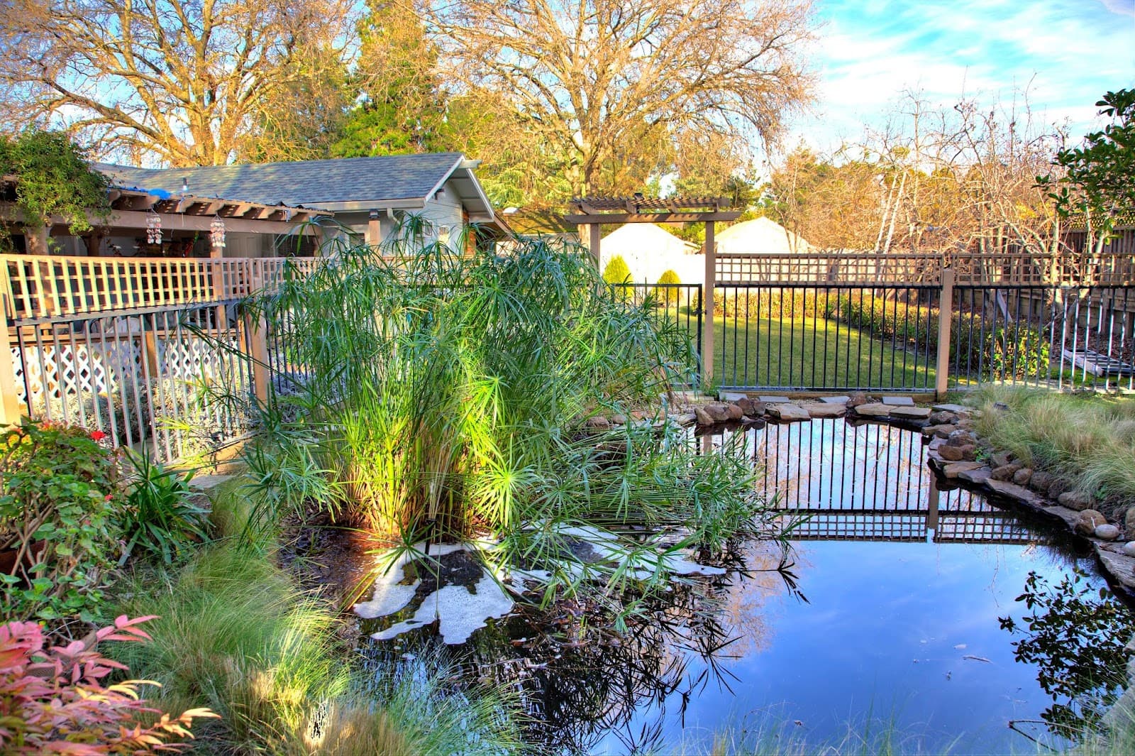 Paradise Gardens Care Home photo 3