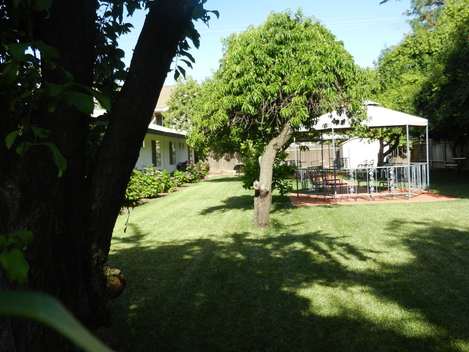 Evergreen Residence photo 3