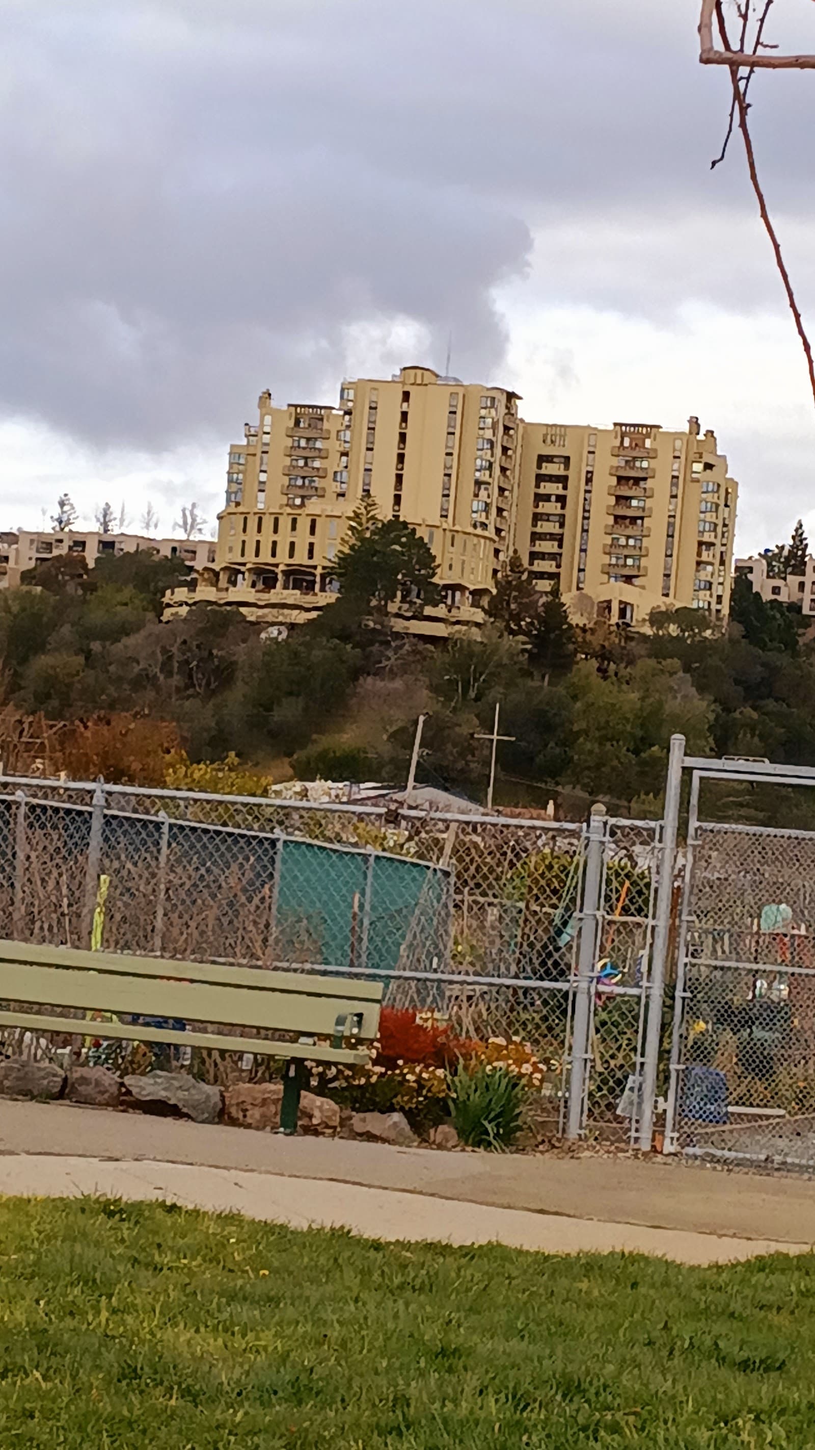 Tamalpais photo 1