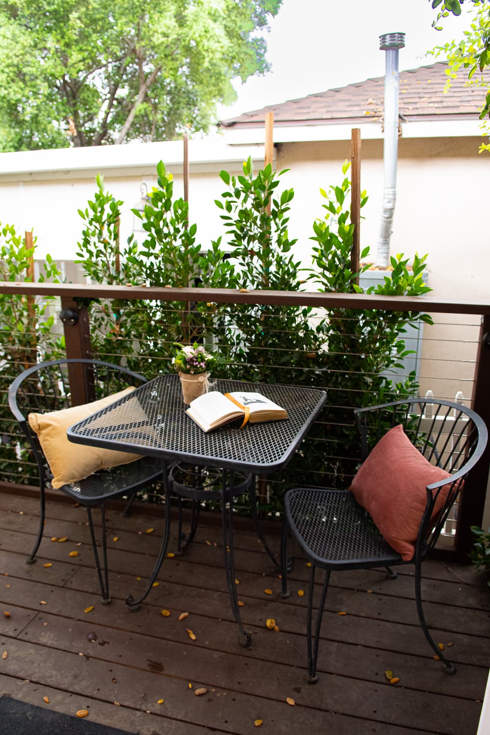 Gardenia Garden photo 2