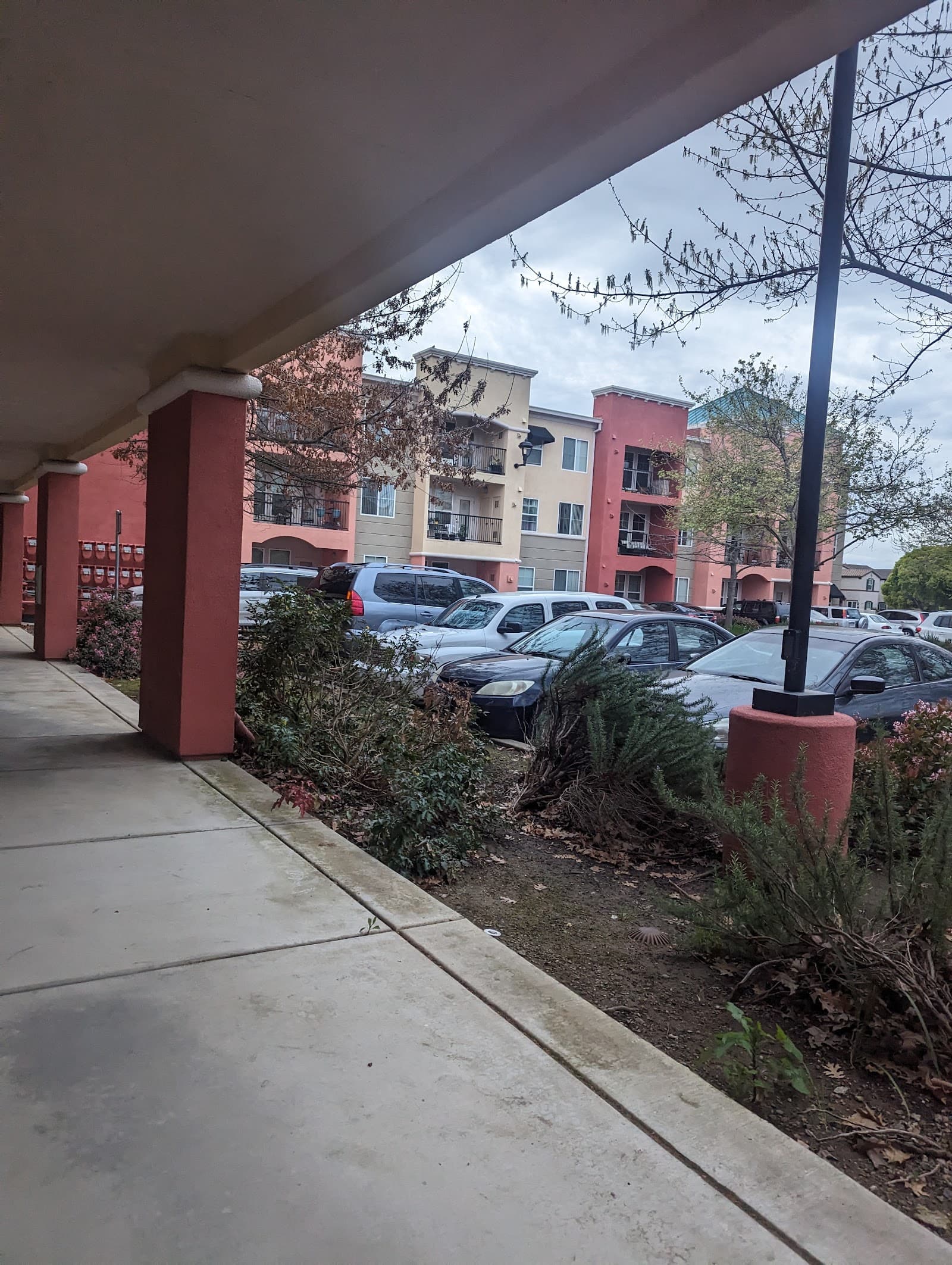 Vintage Square at Westpark