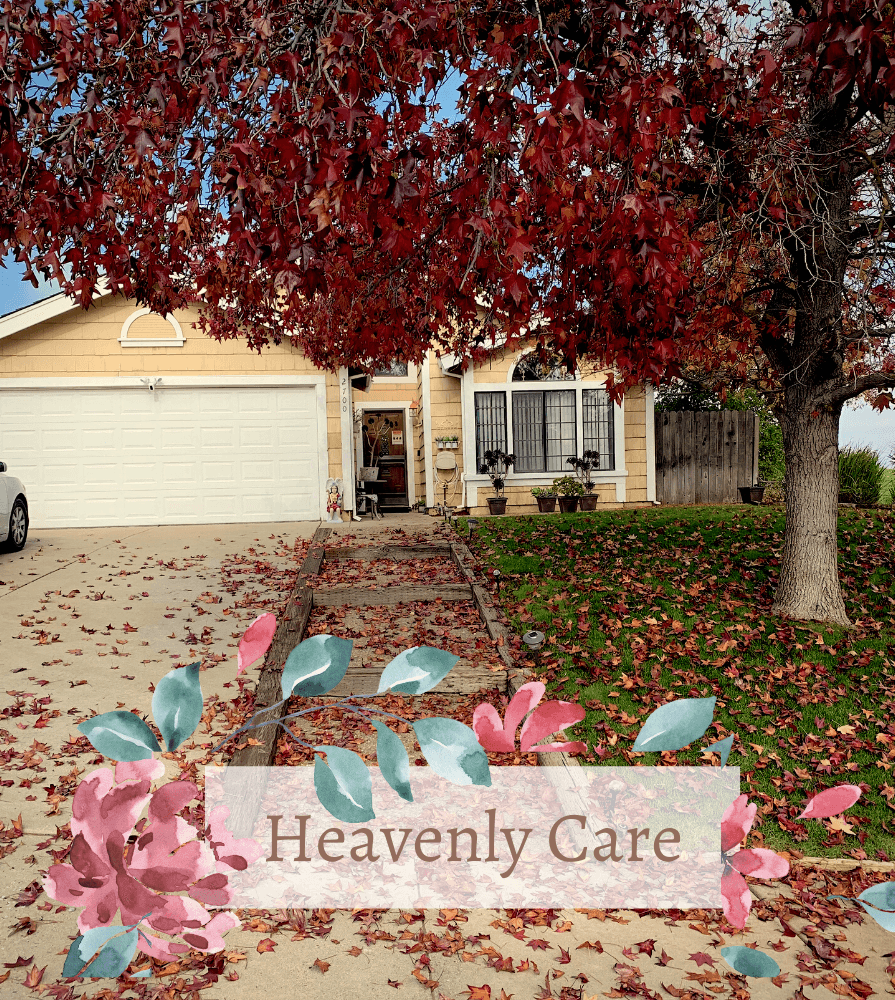 Heavenly Care