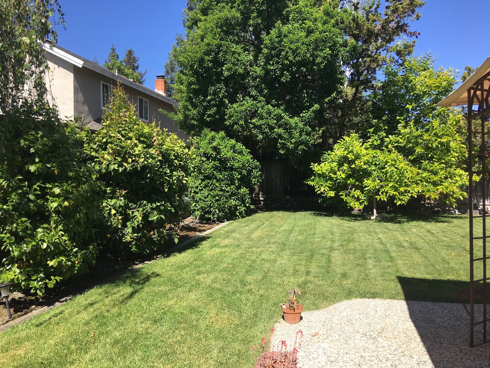 Bluemeadow Care photo 5