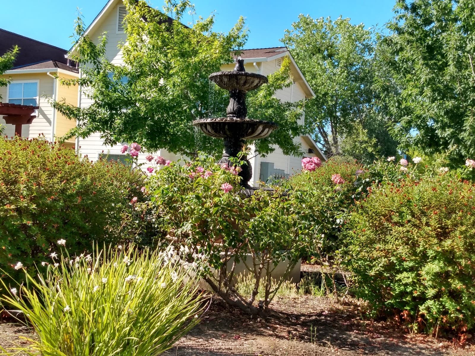 Creekview Manor photo 2