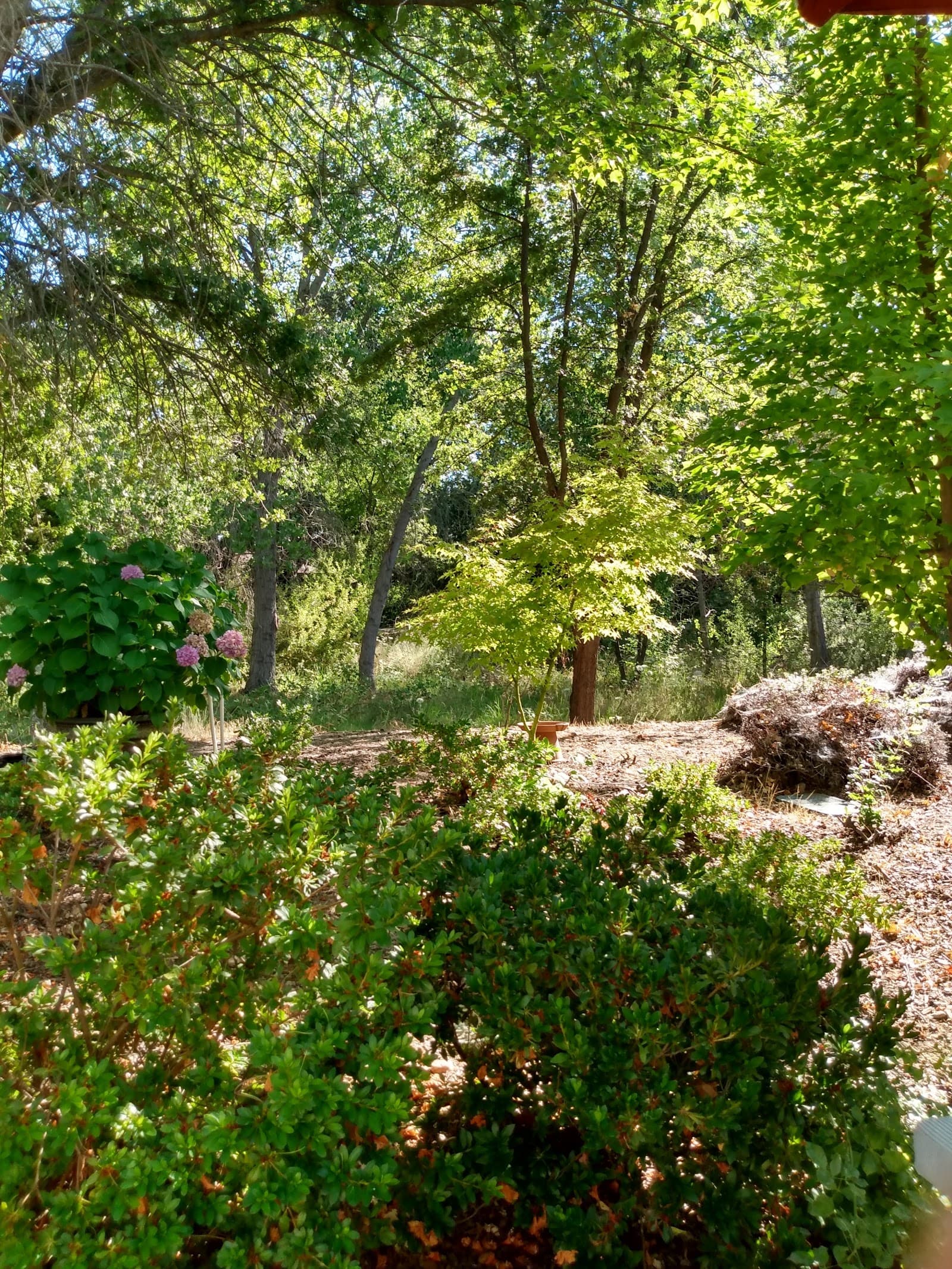 Creekview Manor photo 4
