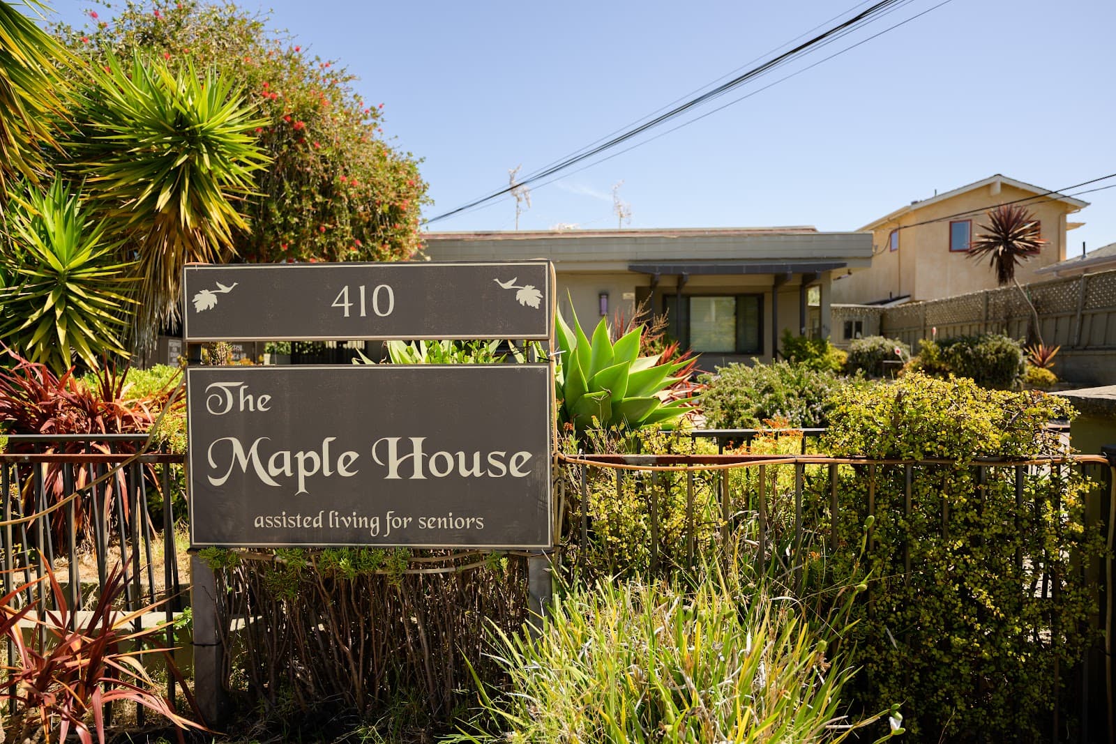 The Maple House