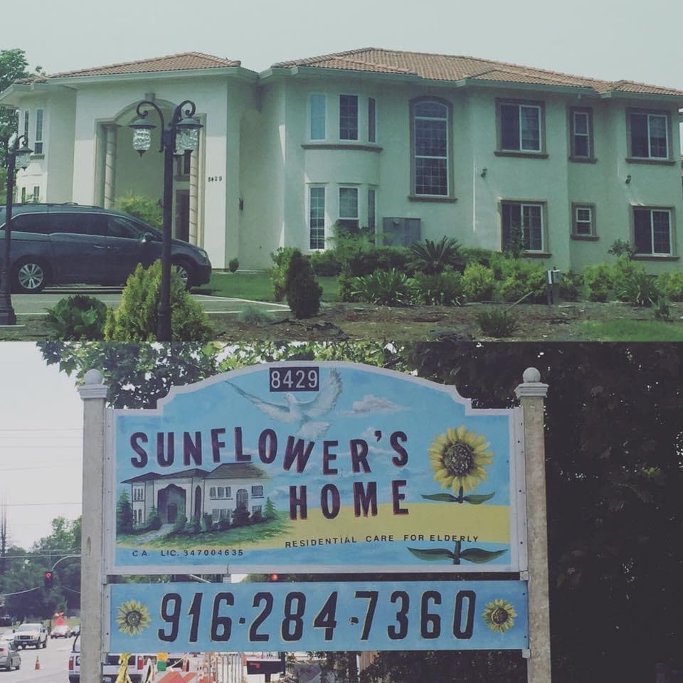 Sunflower's Home photo 3