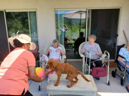 Julie's Elderly Care photo 5