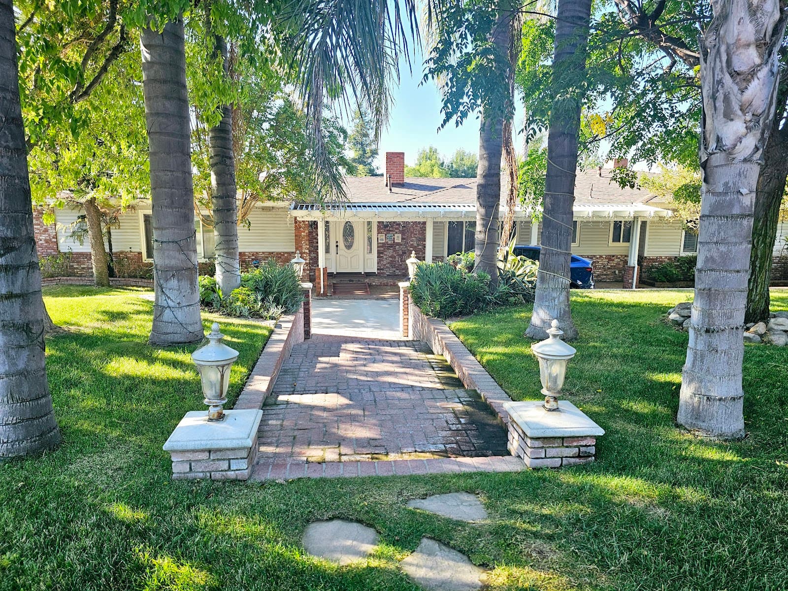 Paradise Springs for the Elderly #1