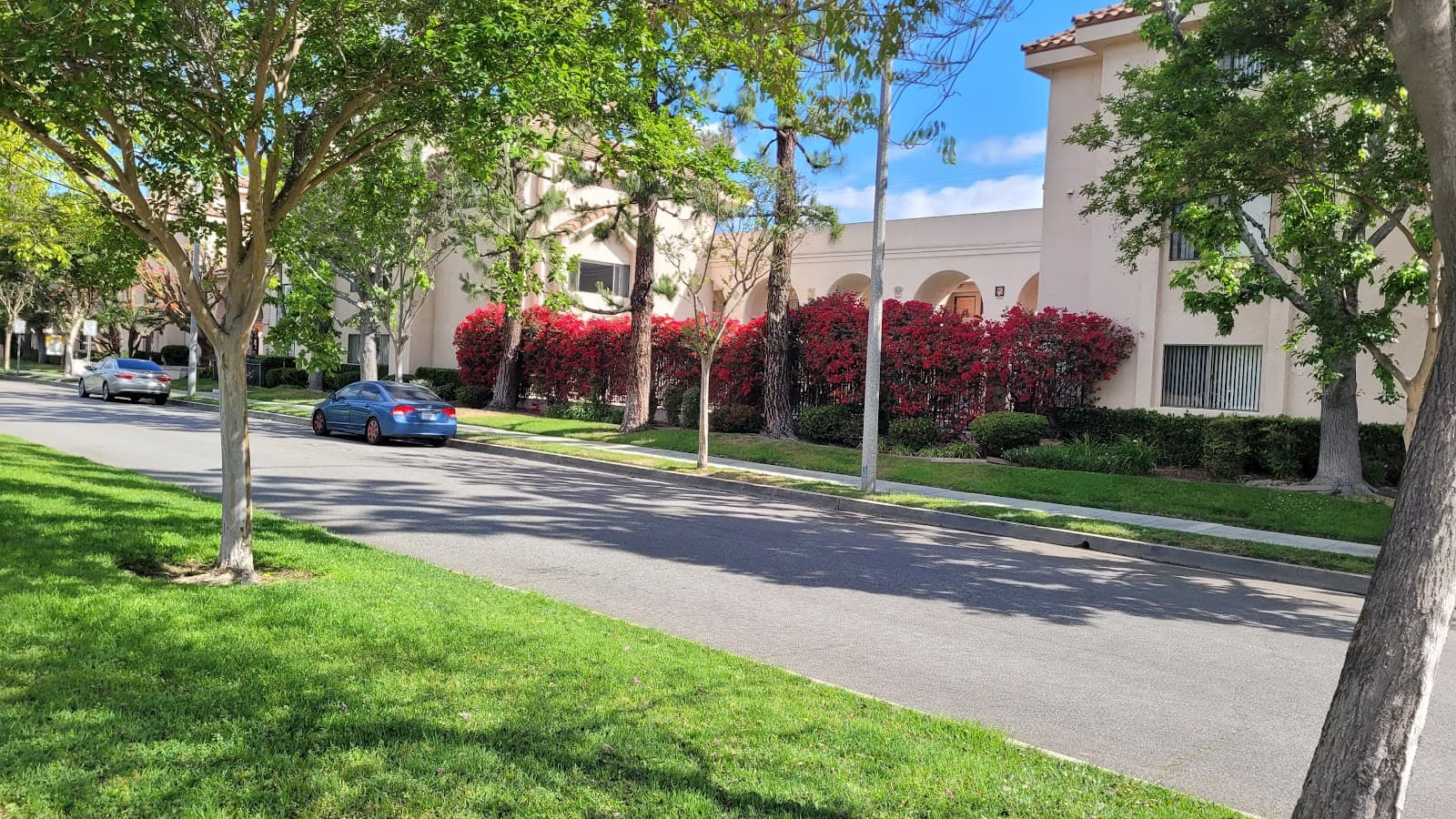 Park Avenue Apartments