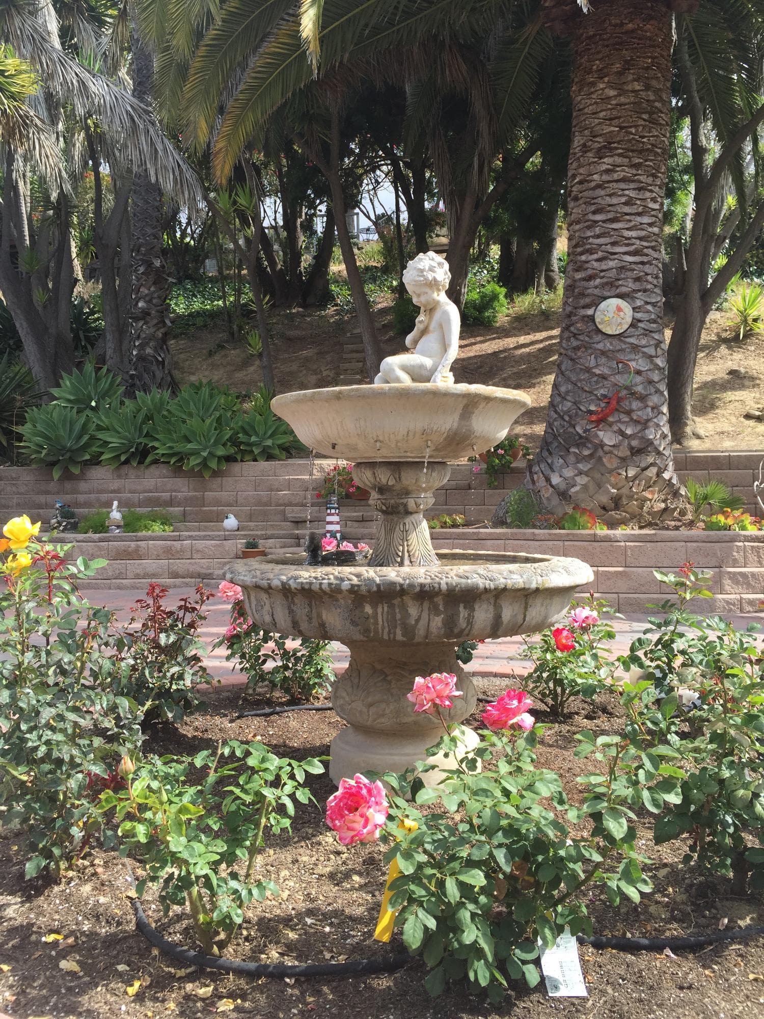 Mesa Care photo 4