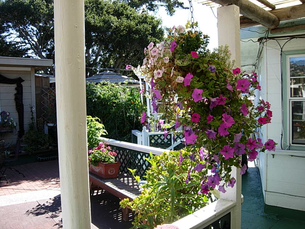 Flanders Court of Carmel photo 4