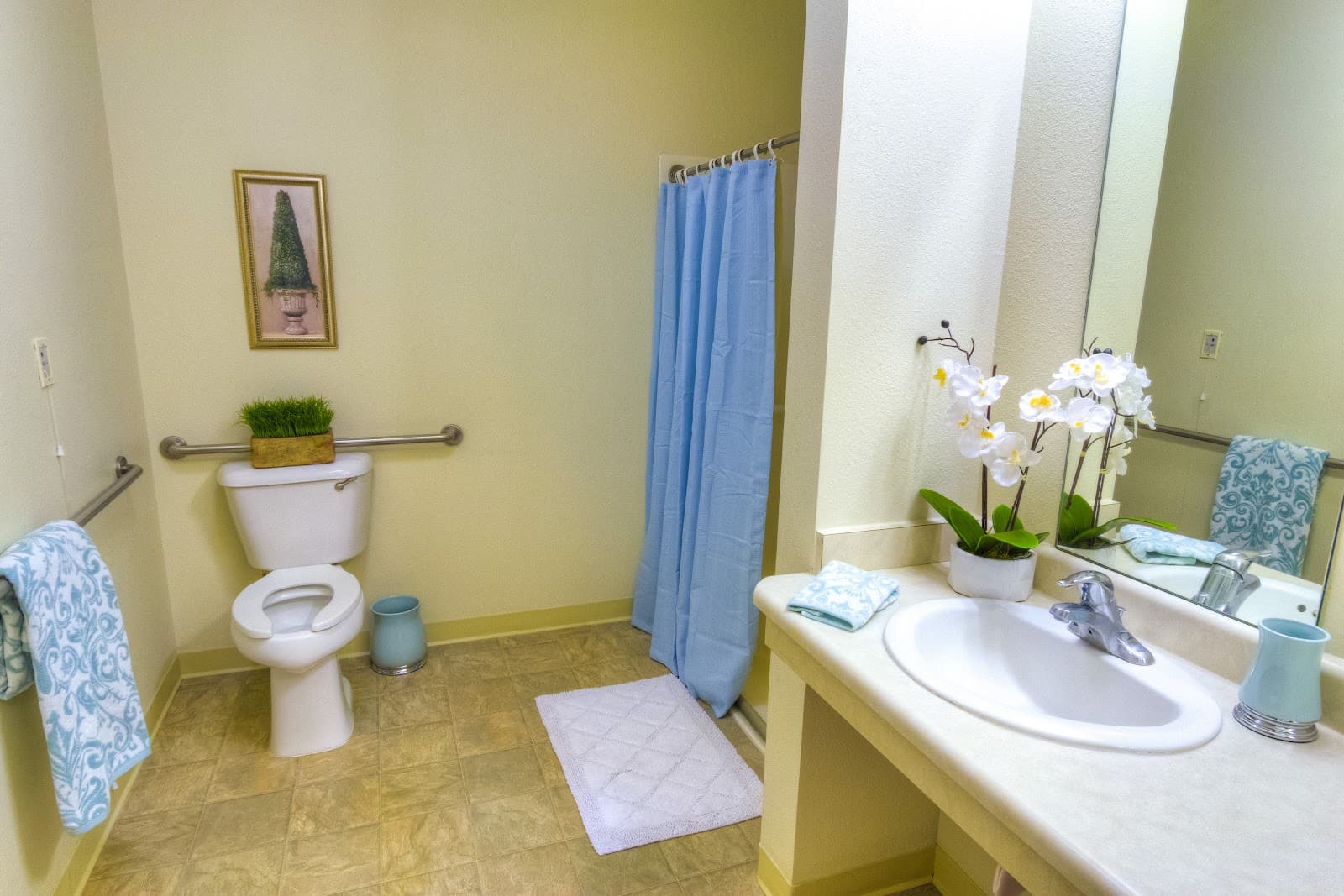 The Meadows Senior Living photo 3
