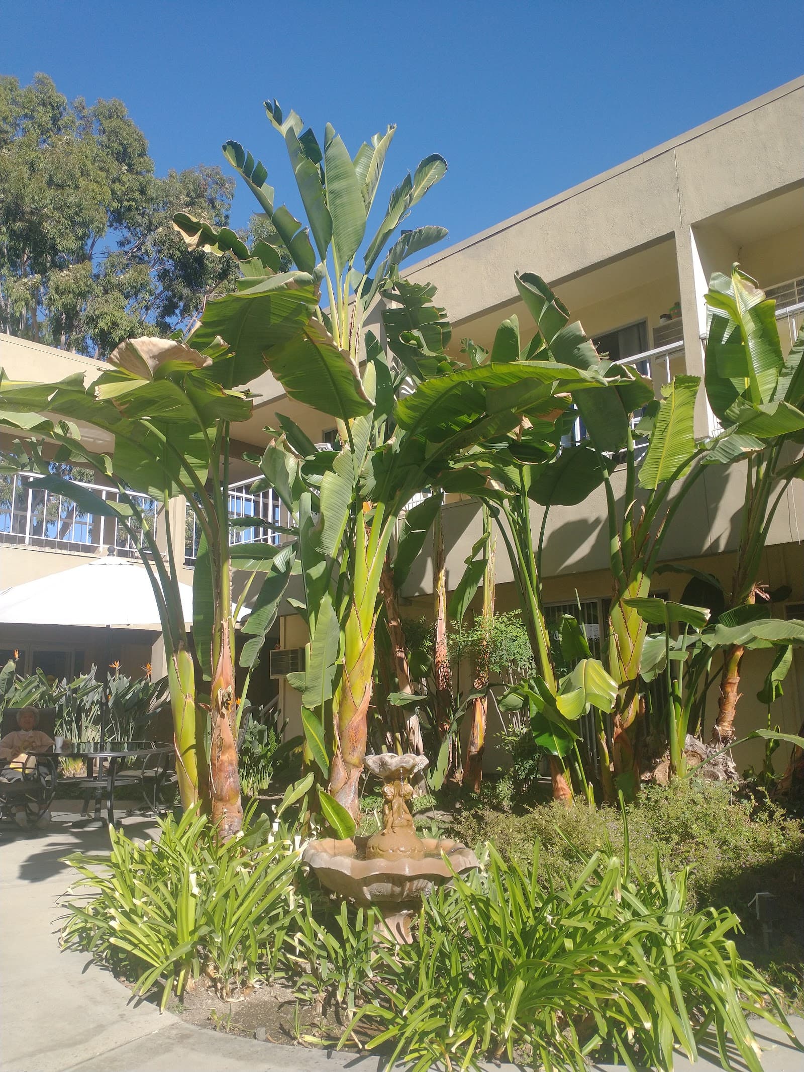 The Gardens At Park Balboa photo 5