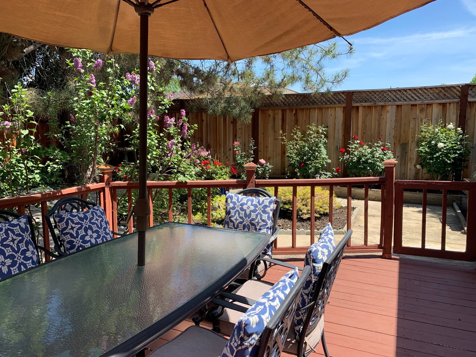 Pleasanton Senior Care Villa photo 4
