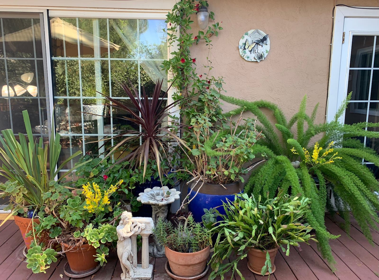 Pleasanton Senior Care Villa photo 5