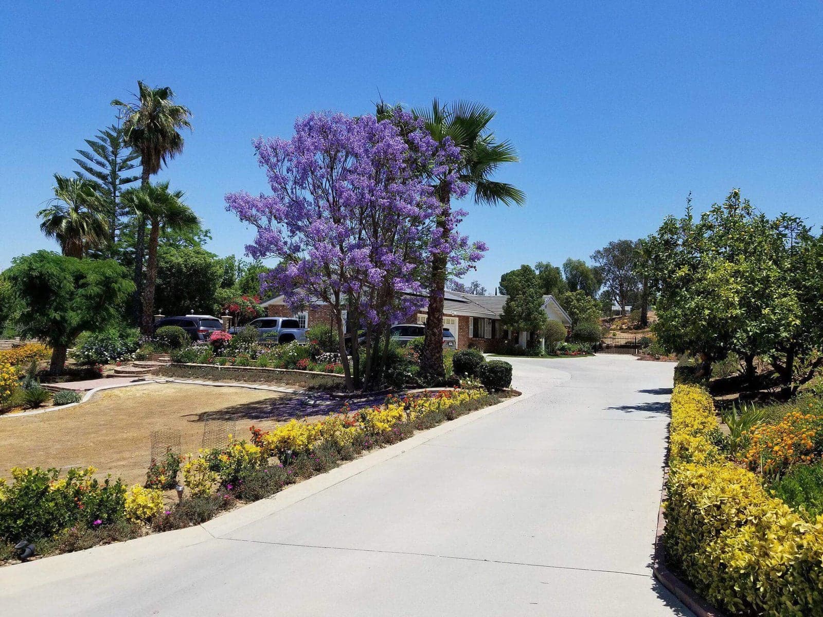 Citiview Residential Care photo 5