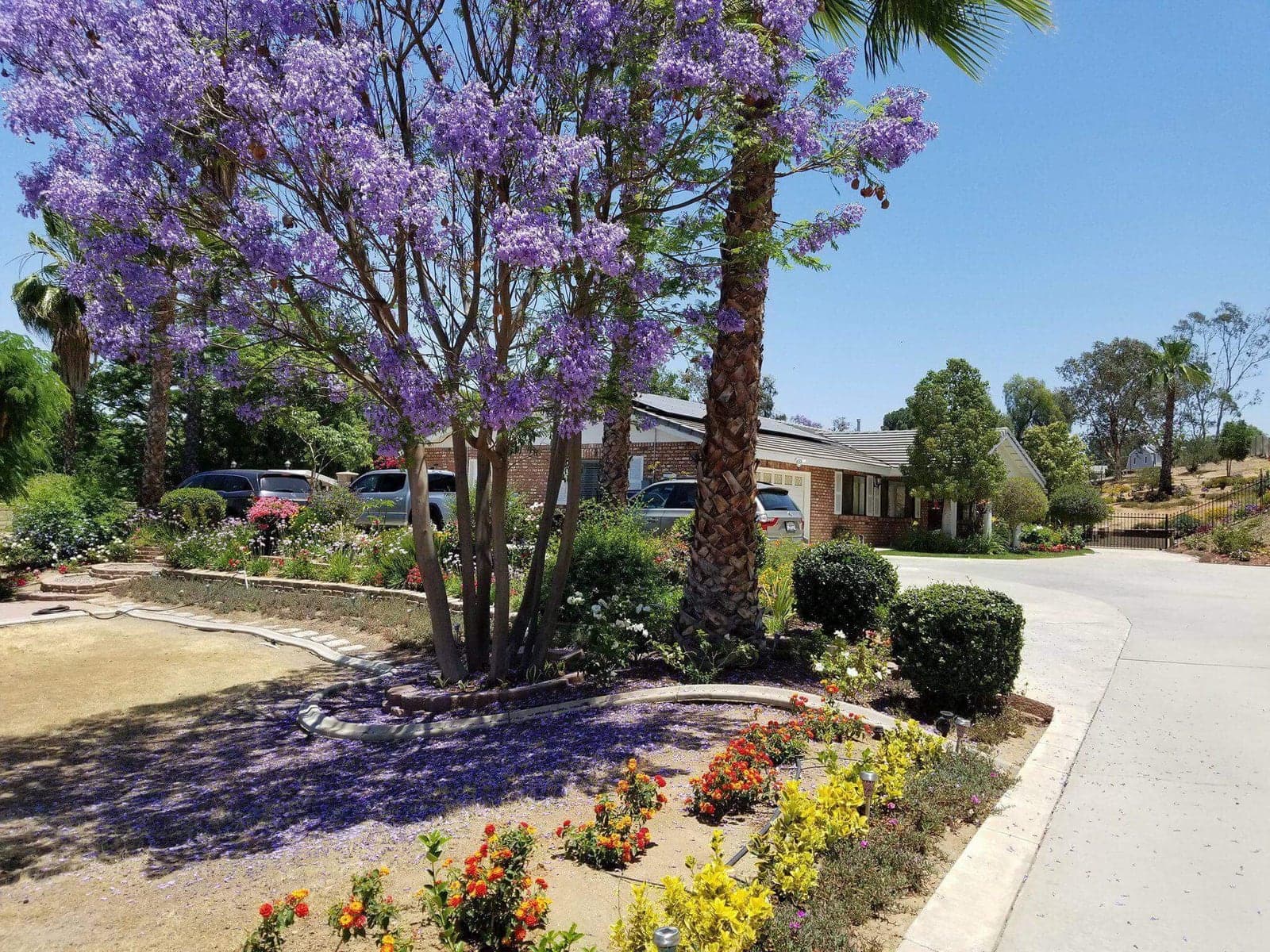 Citiview Residential Care photo 2