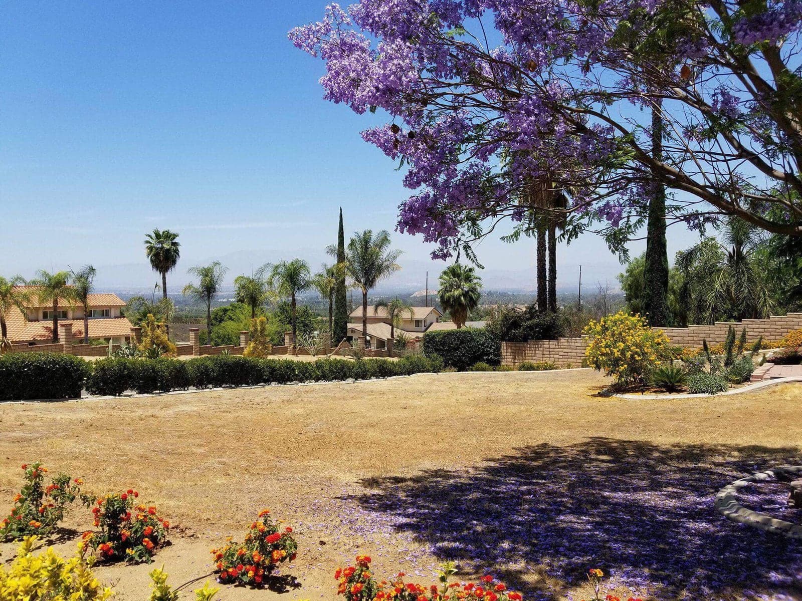 Citiview Residential Care photo 4