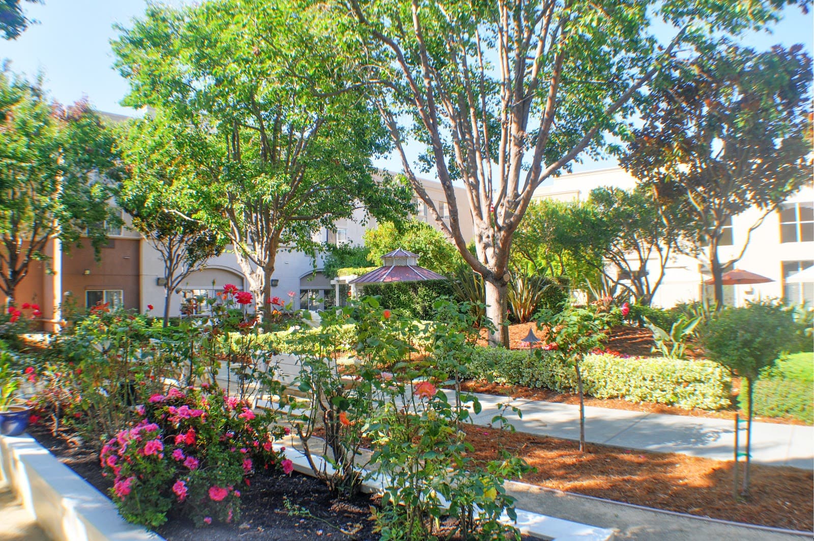 Carlton Senior Living San Leandro photo 3