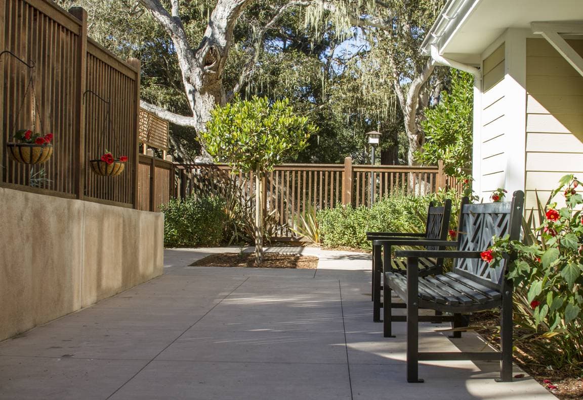 Ivy Park At Monterey photo 4