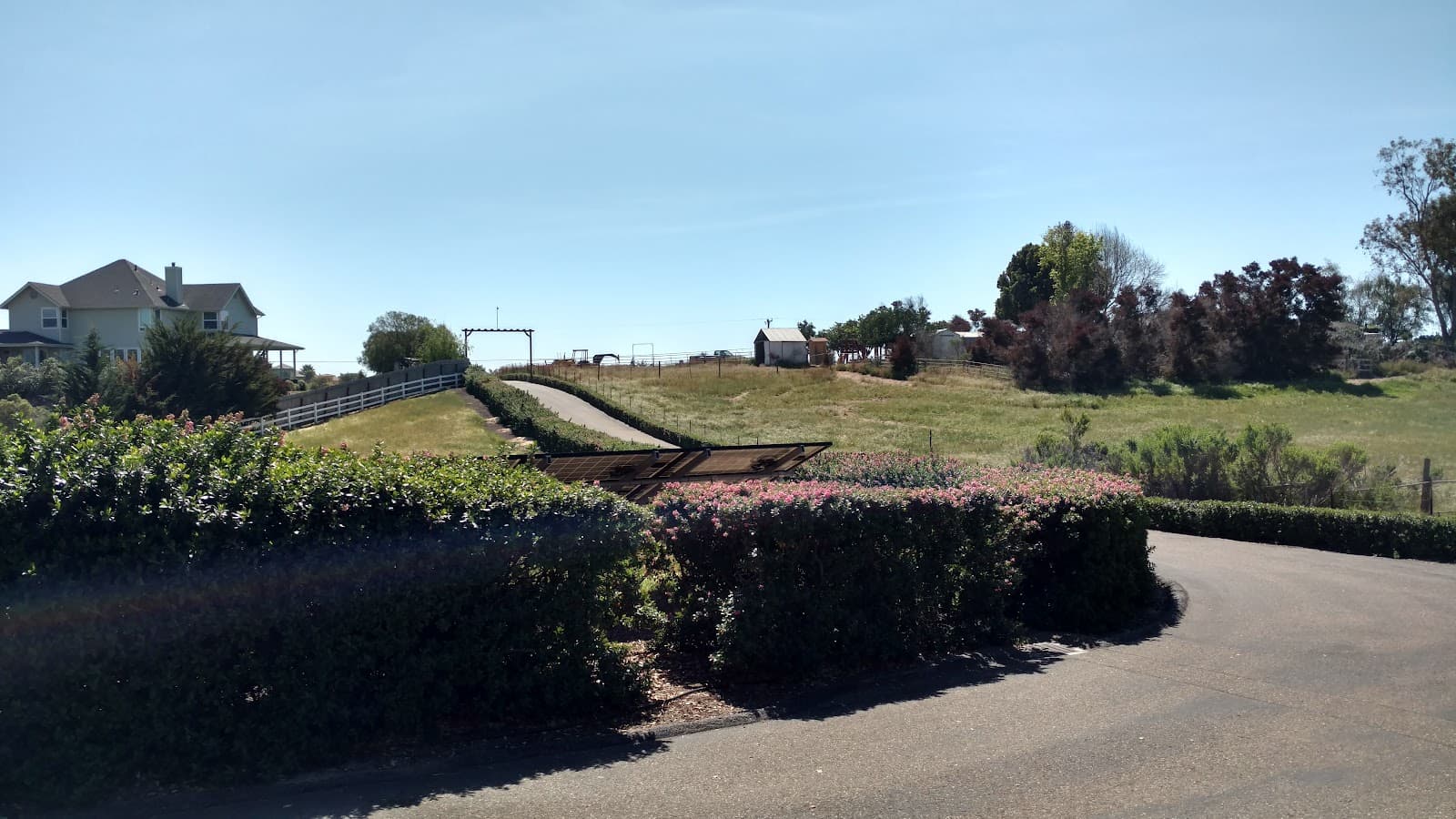 Casa Rosa Elder Care photo 4