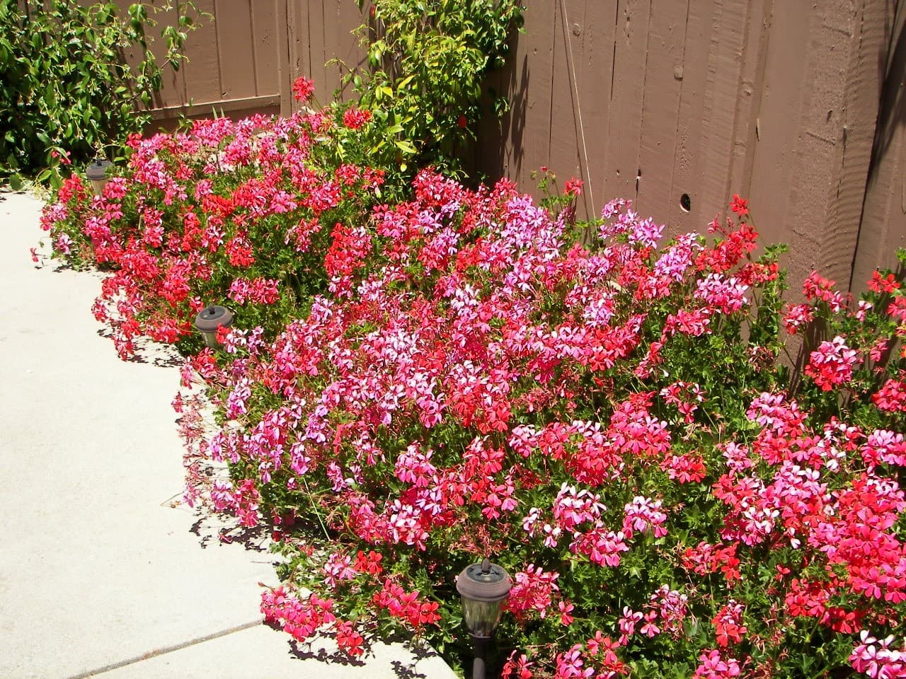 Valley Vista Residential Care photo 4