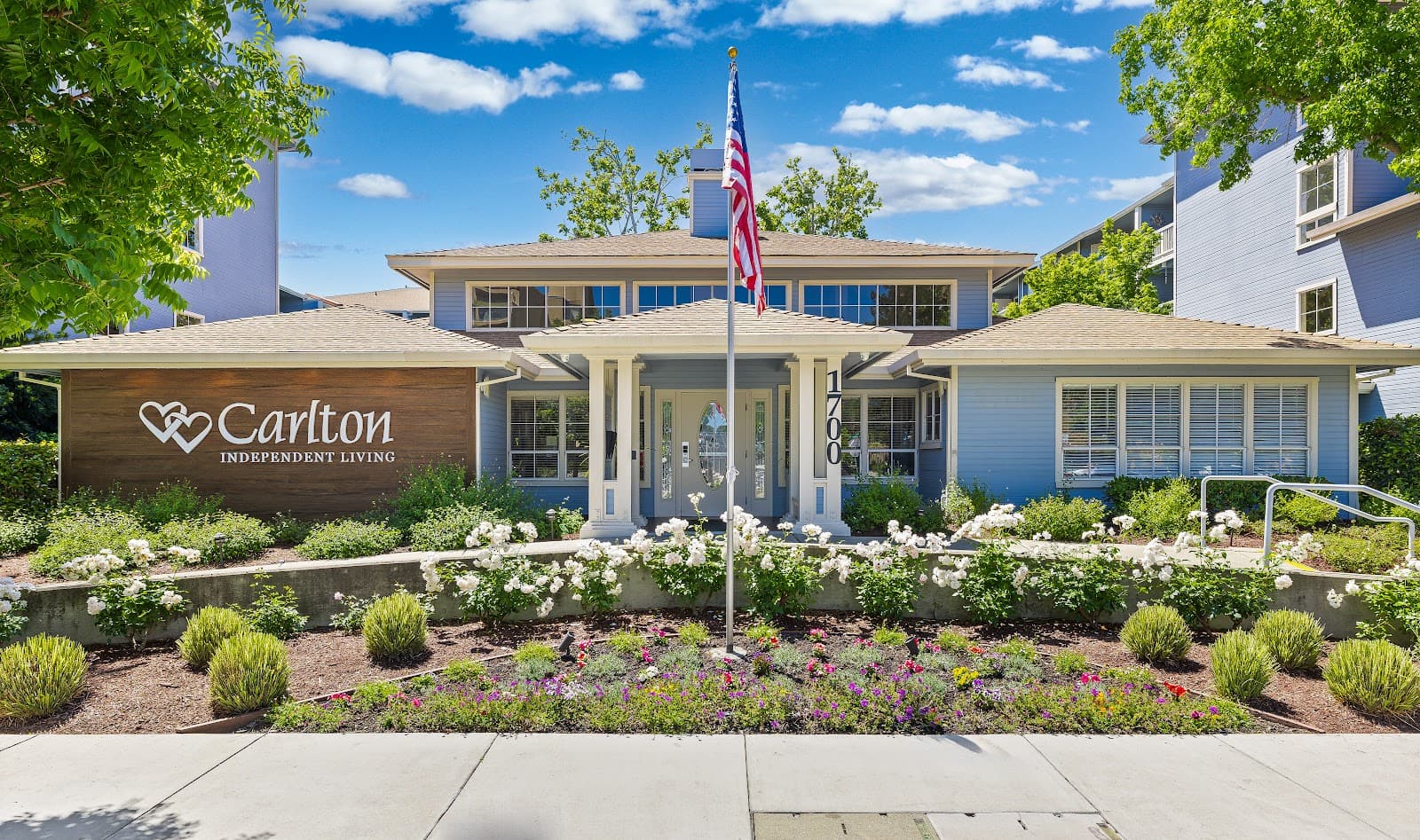 Carlton Concord photo 4