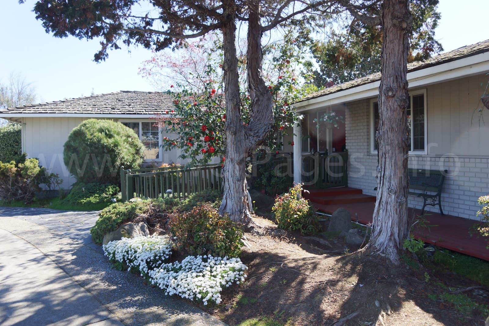 Pruneridge Residential Care Home photo 3