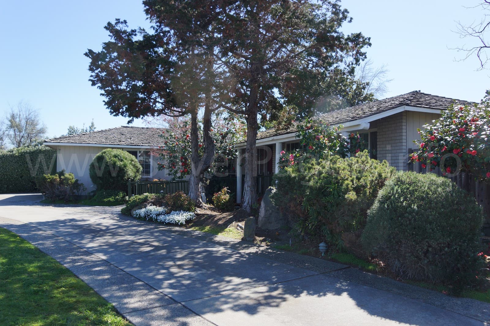 Pruneridge Residential Care Home