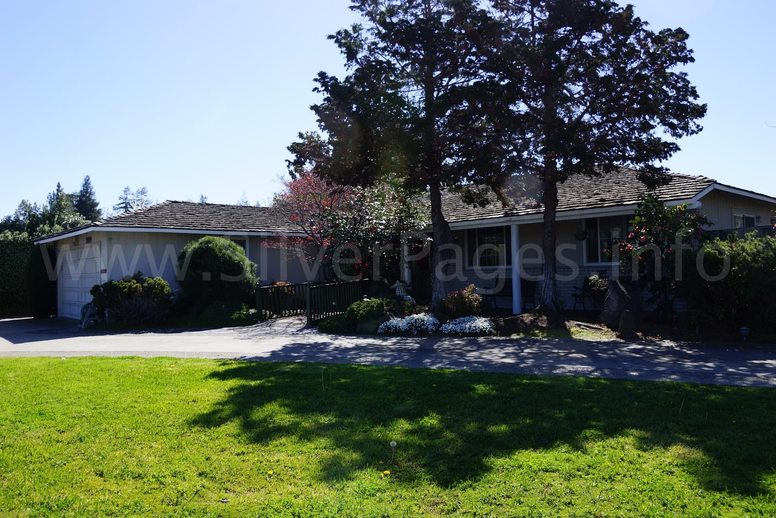 Pruneridge Residential Care Home photo 2