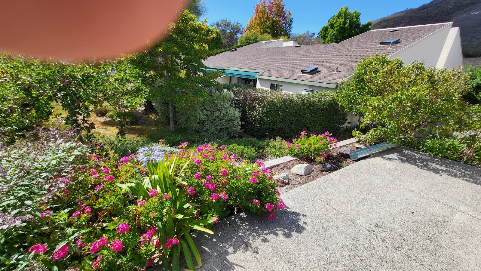 Carmel Valley Manor photo 3