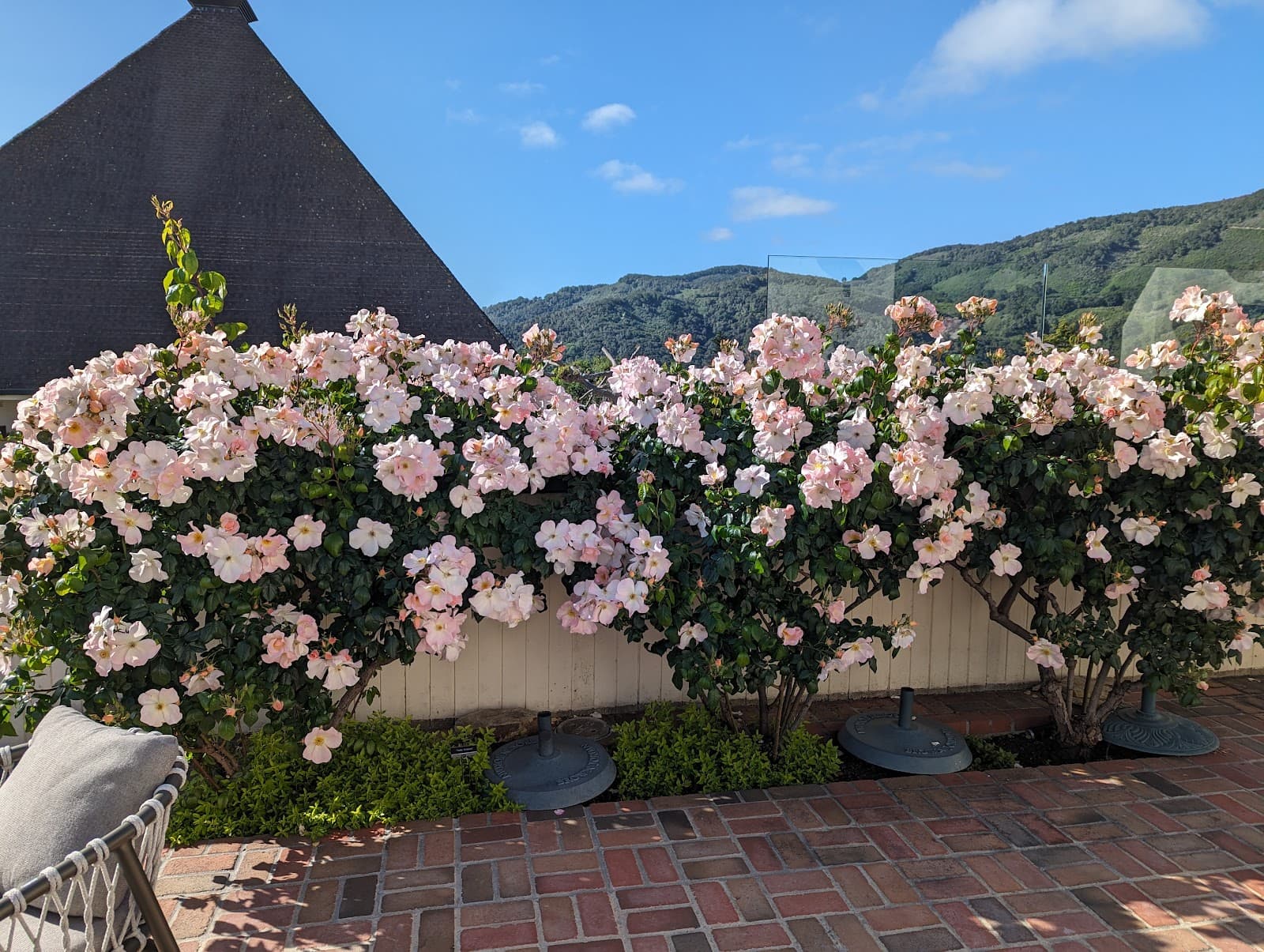 Carmel Valley Manor photo 2
