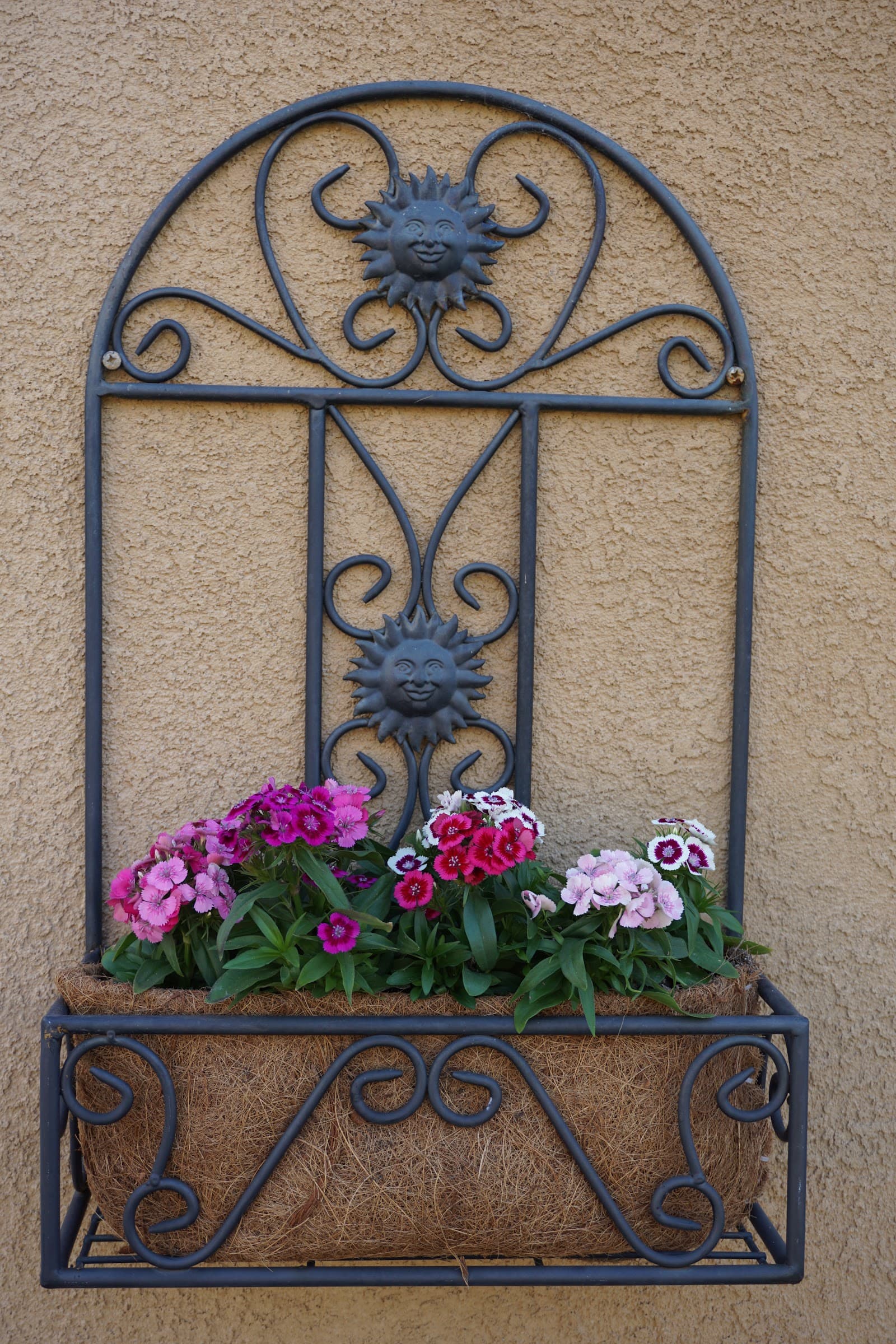 Boundless Care For The Elderly photo 4