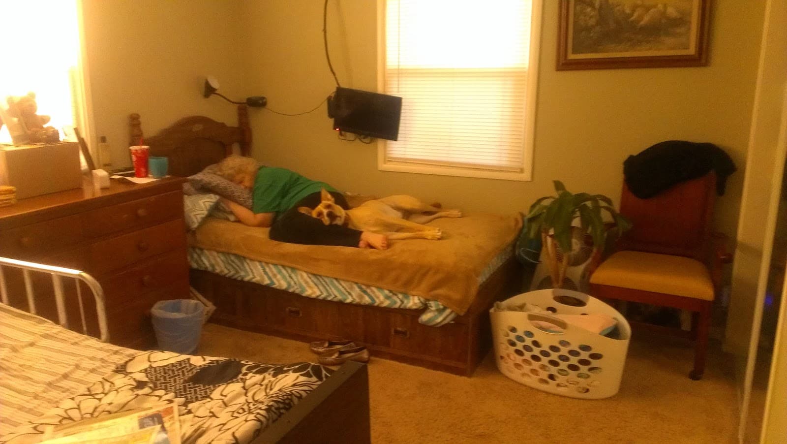 Eldervilla photo 5