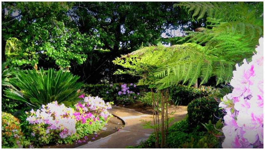 Sun and Sea Assisted Living