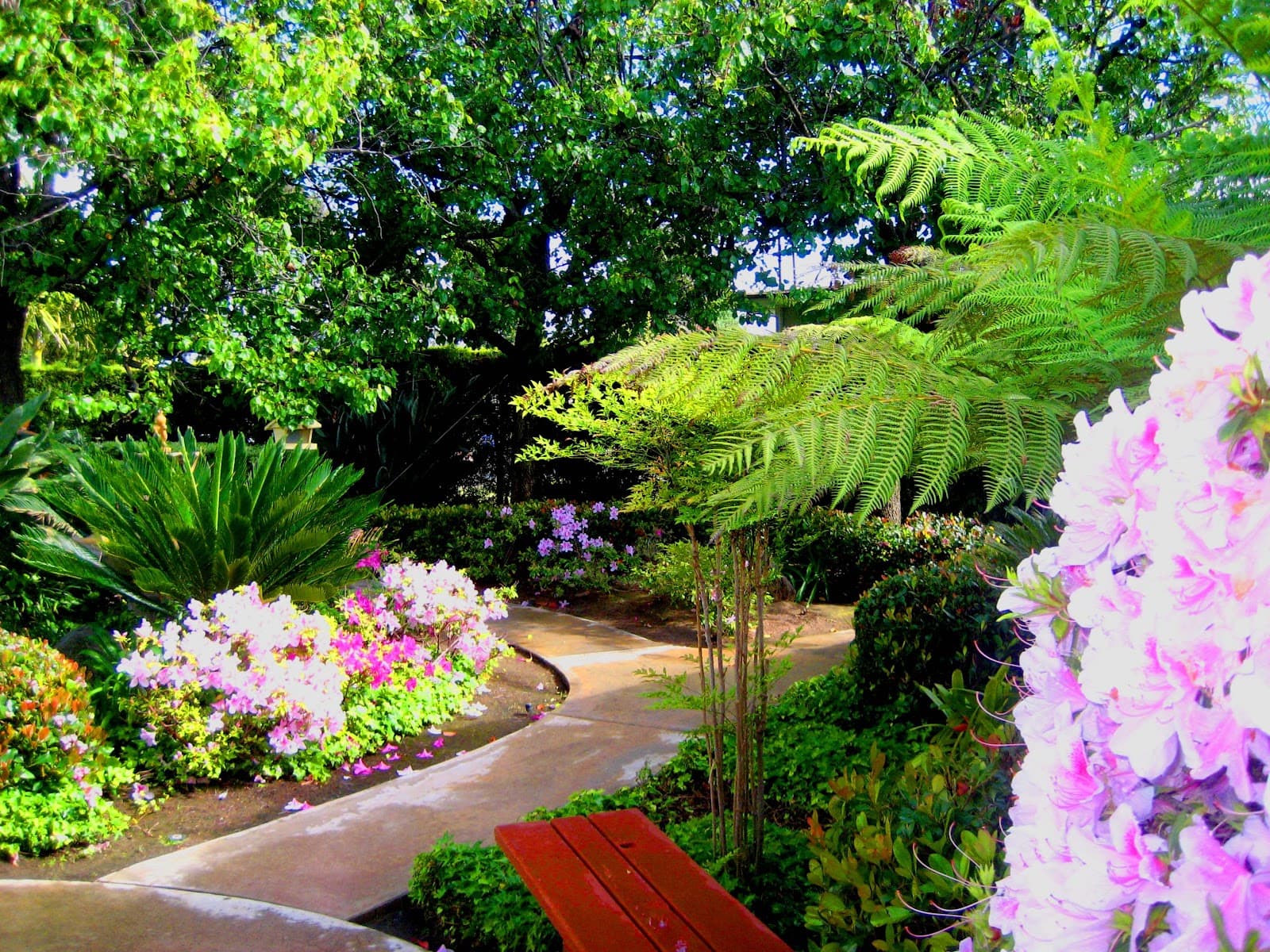 Sun and Sea Assisted Living photo 2