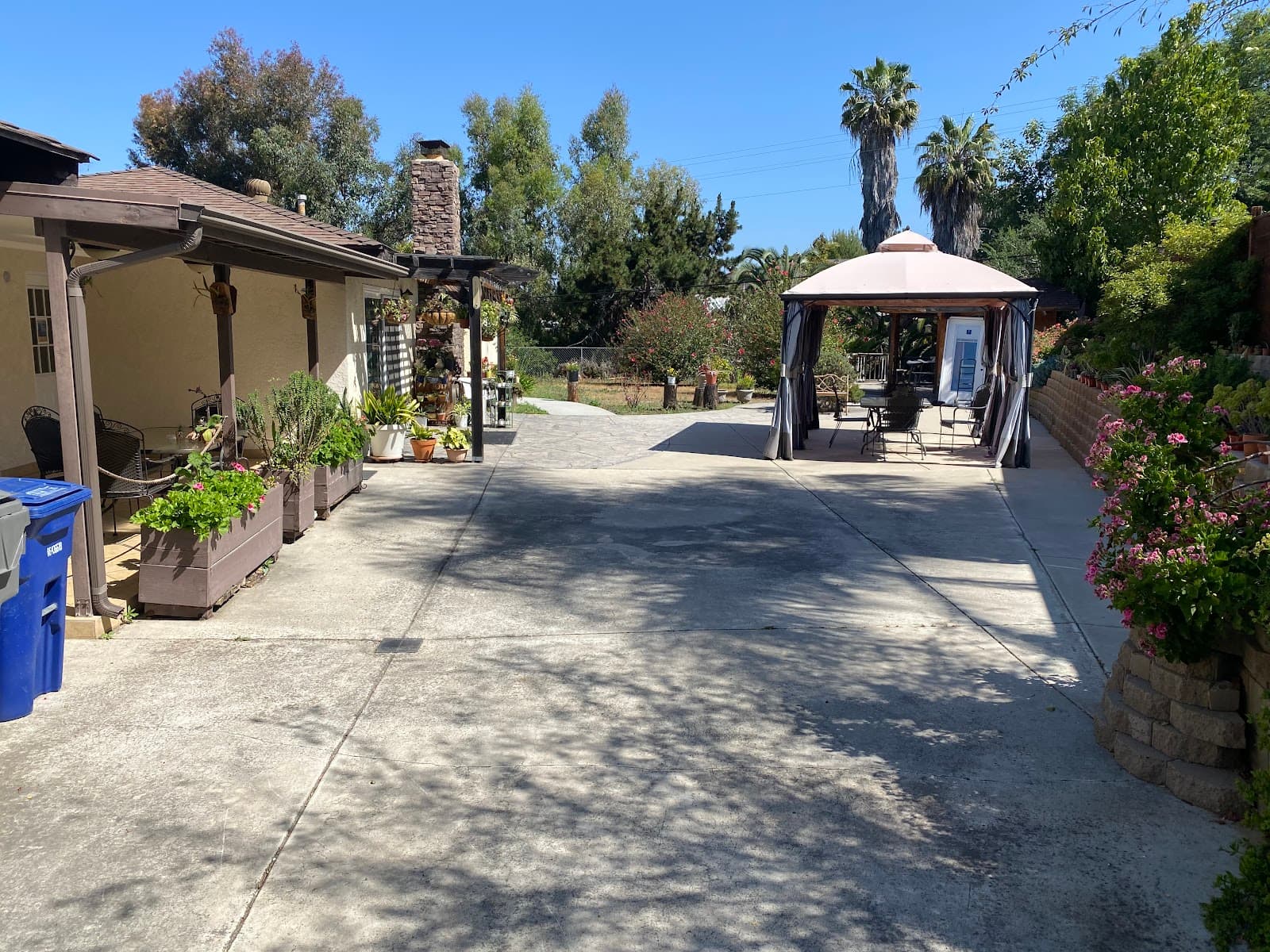 Golden Retreat photo 3