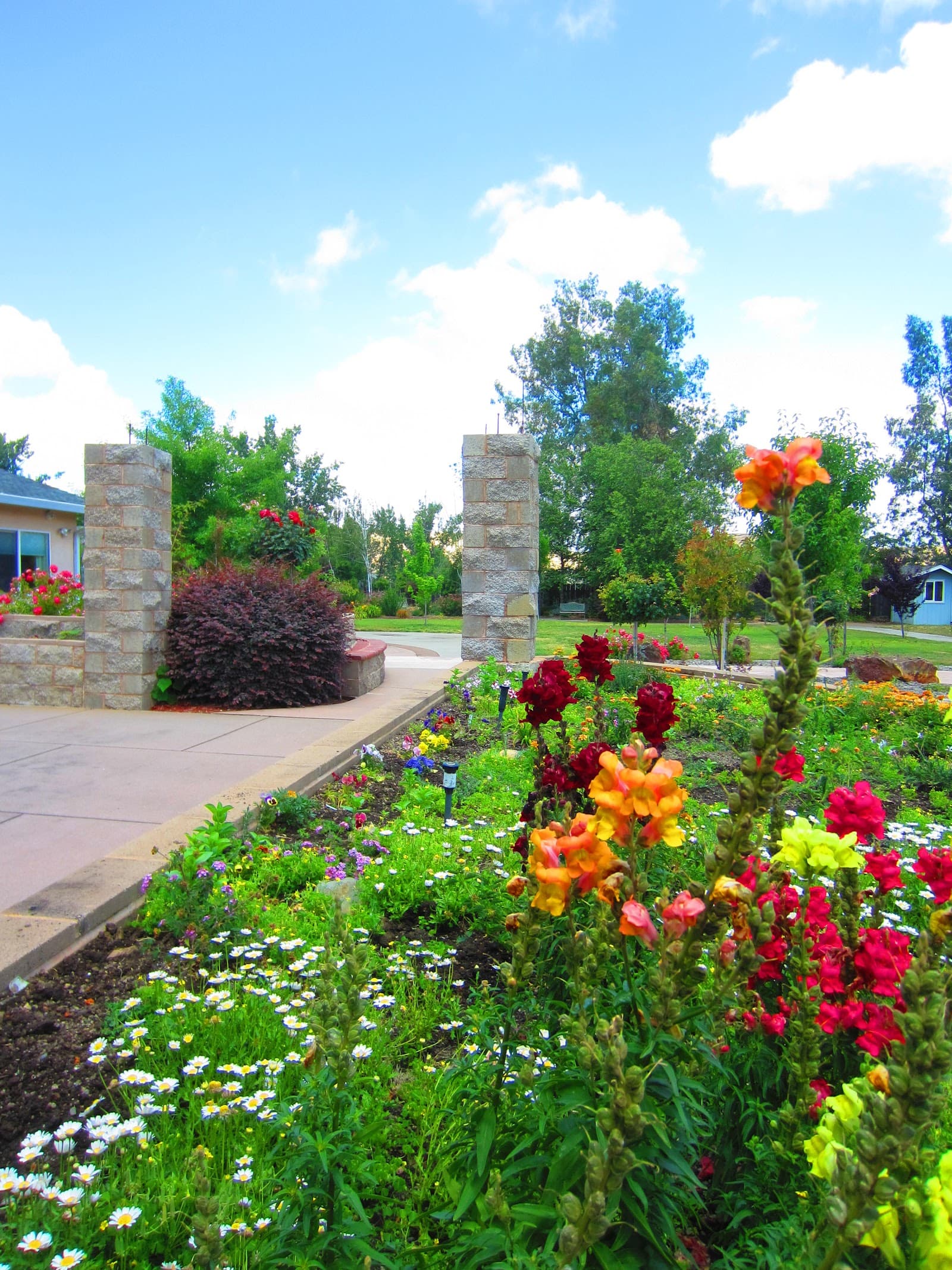 Roseleaf of Oroville at Larkspur Landing photo 4
