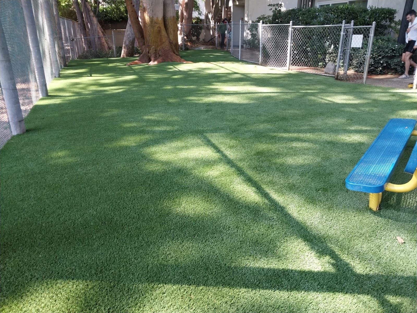 Los Feliz Gardens photo 4