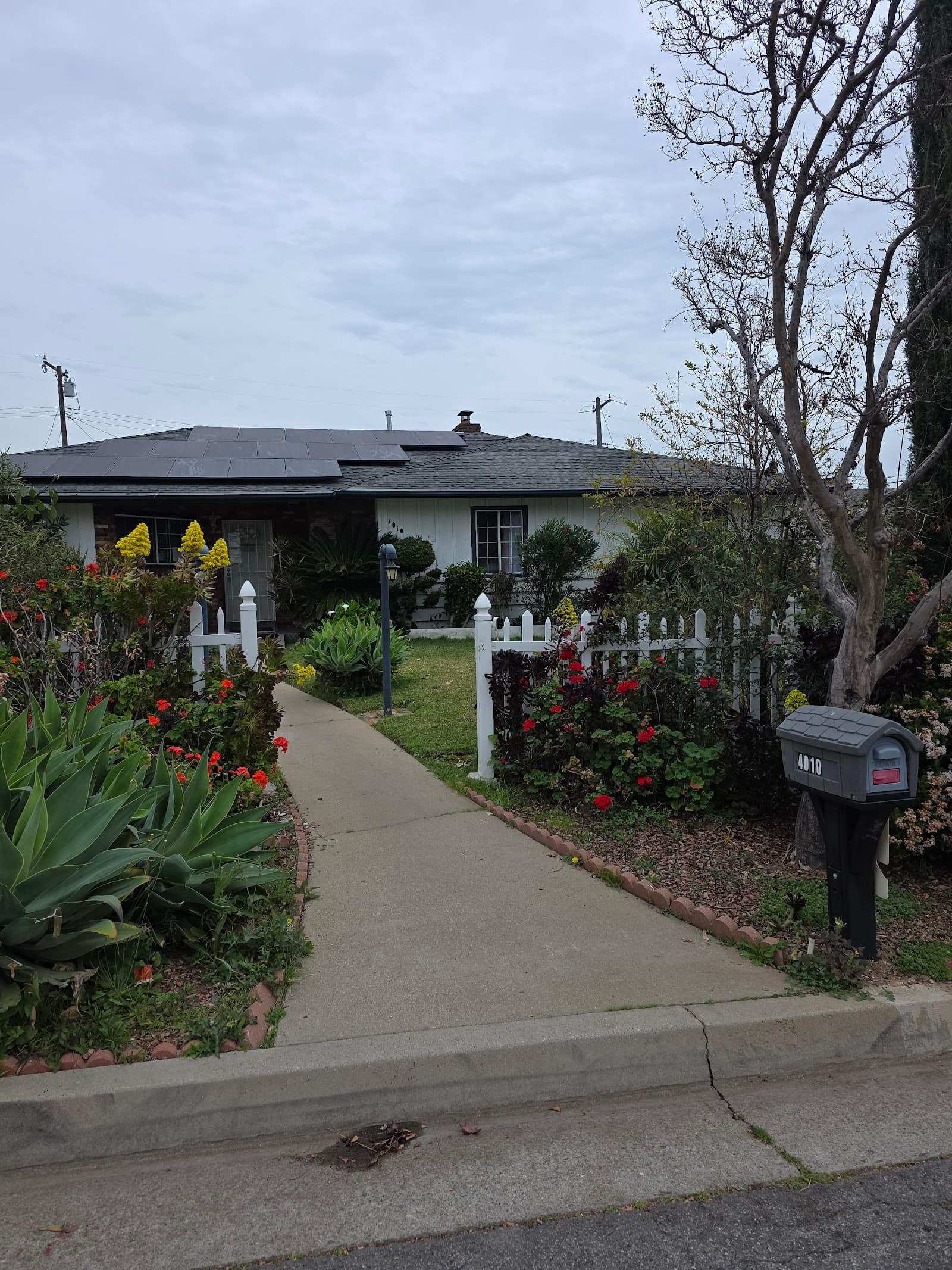 Gold Medal Estates photo 5