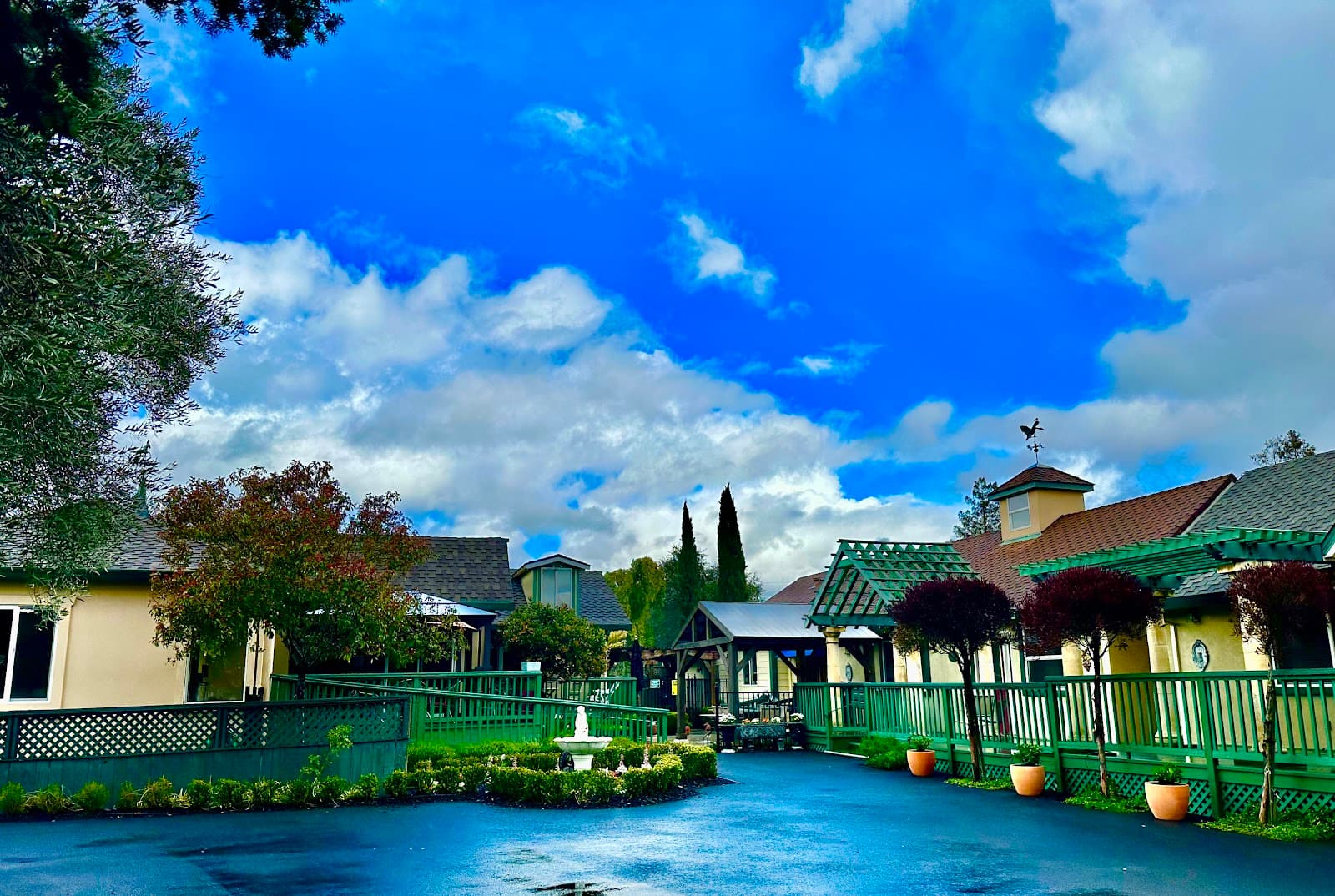 Bella Vista Village II photo 3